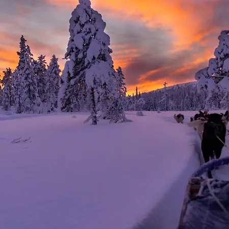 Szálloda Kelo - Northern Lights And Wilderness Adventures In Kittilae