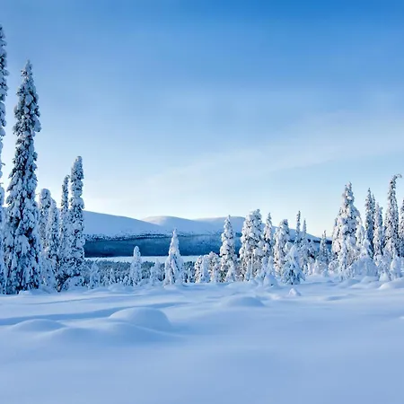 Kelo - Northern Lights And Wilderness Adventures In Kittilae Hotelli