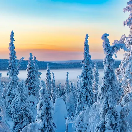 Kelo - Northern Lights And Wilderness Adventures In Kittilae