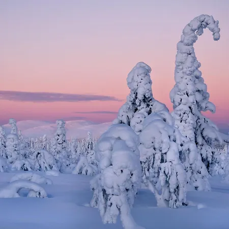 Ξενοδοχείο Kelo - Northern Lights And Wilderness Adventures In Kittilae *