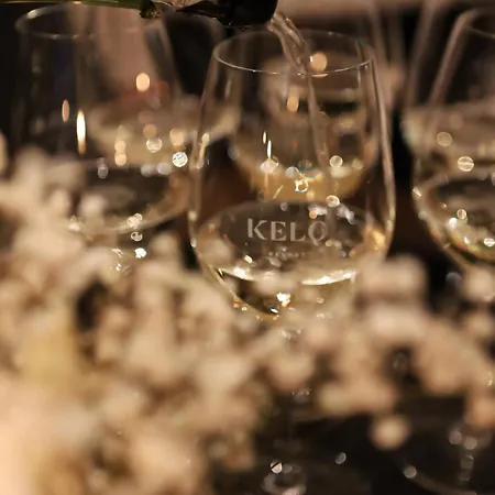 Kelo - Northern Lights And Wilderness Adventures In Kittilae *