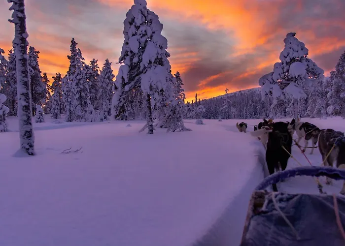 Hotelli Kelo - Northern Lights And Wilderness Adventures In Kittilae