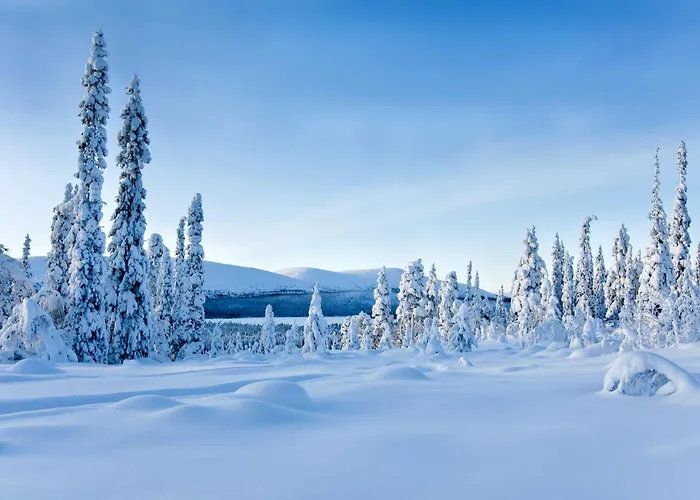 Kelo - Northern Lights And Wilderness Adventures In Kittilae Hotelli