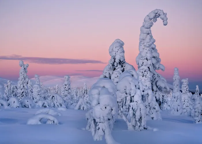 Hotelli Kelo - Northern Lights And Wilderness Adventures In Kittilae *