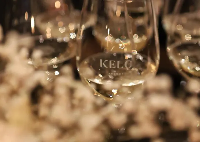 Kelo - Northern Lights And Wilderness Adventures In Kittilae *